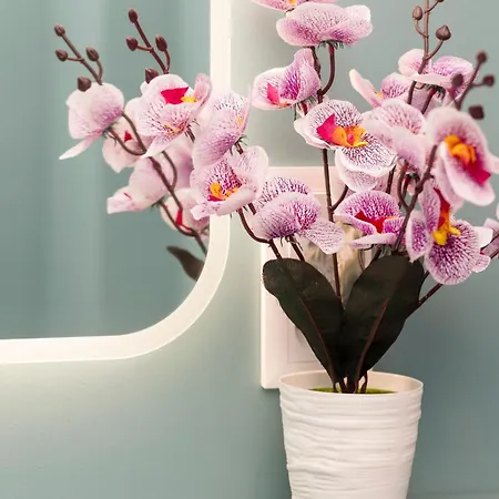 Vintage Praga By Renters